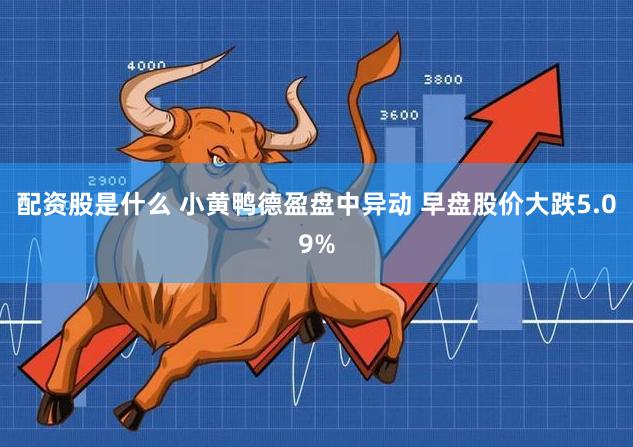 配资股是什么 小黄鸭德盈盘中异动 早盘股价大跌5.09%