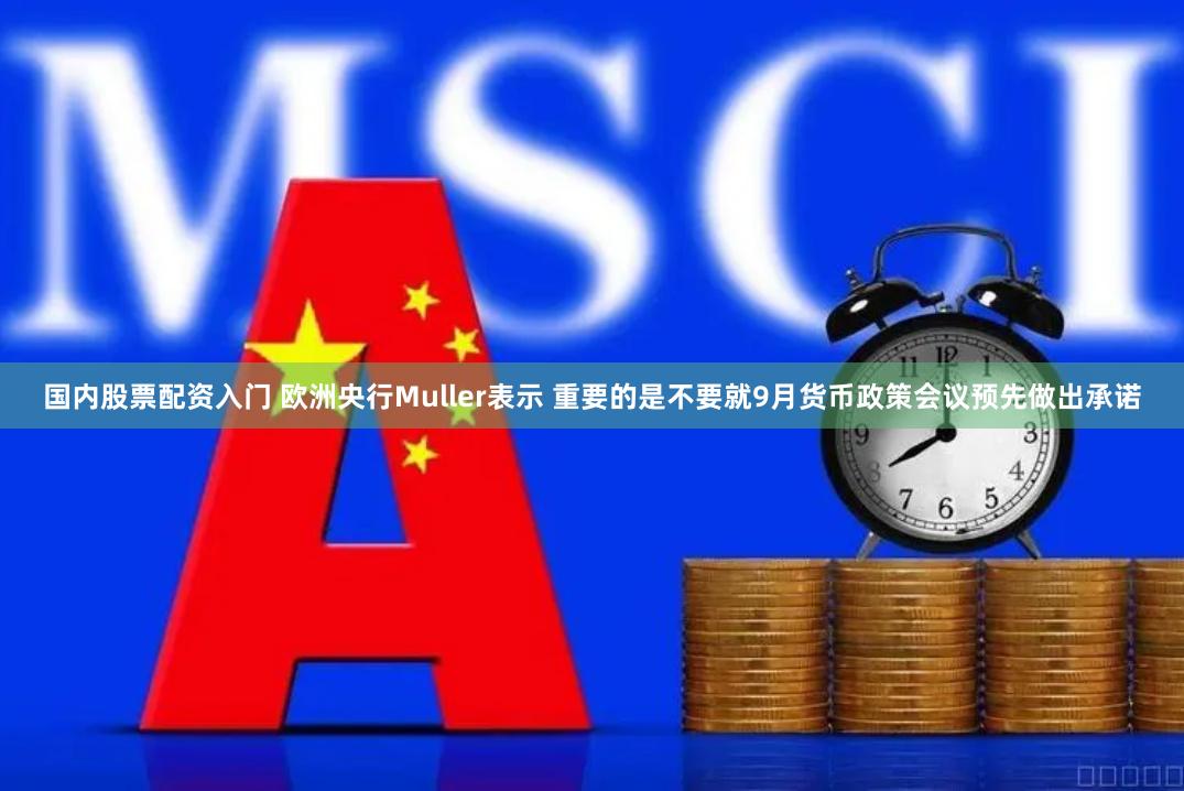 国内股票配资入门 欧洲央行Muller表示 重要的是不要就9月货币政策会议预先做出承诺