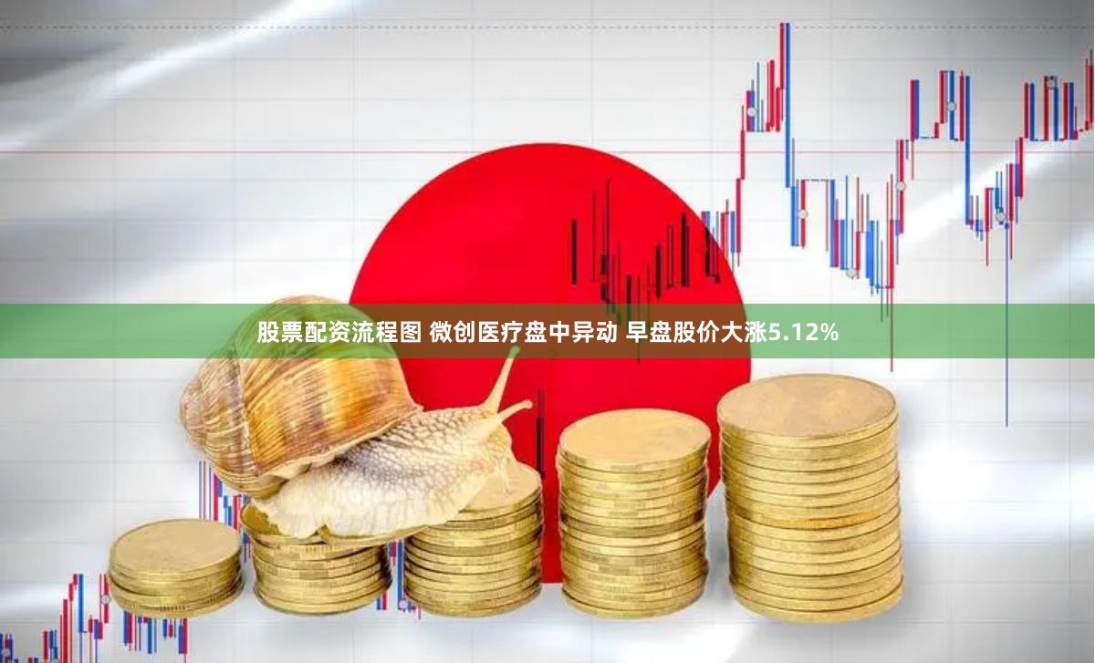 股票配资流程图 微创医疗盘中异动 早盘股价大涨5.12%